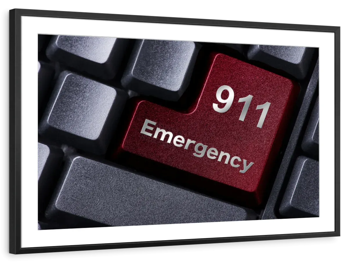 911 Emergency Wall Art