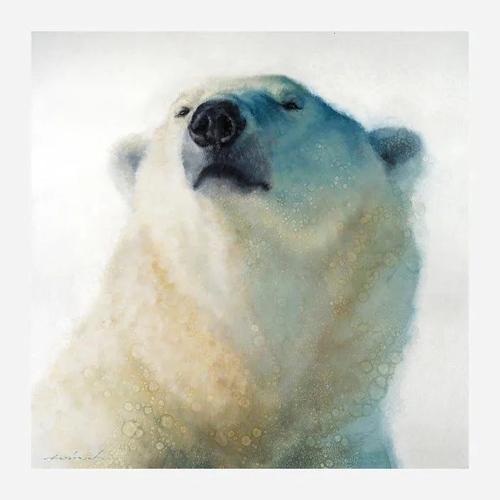 Calm Cool & Collected Framed Polar Bear Art