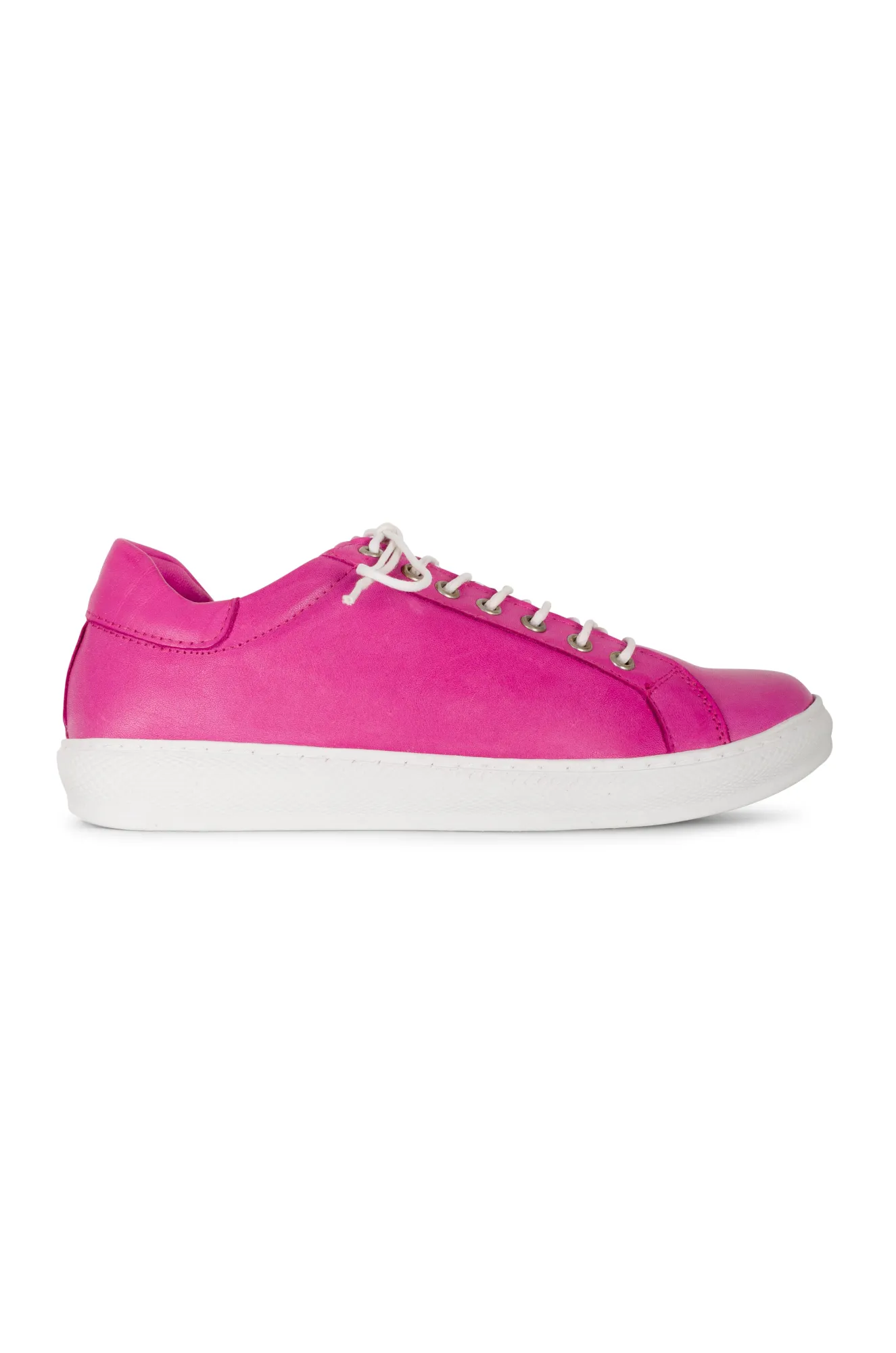 FLA001 | FUCHSIA | FORAGE YY