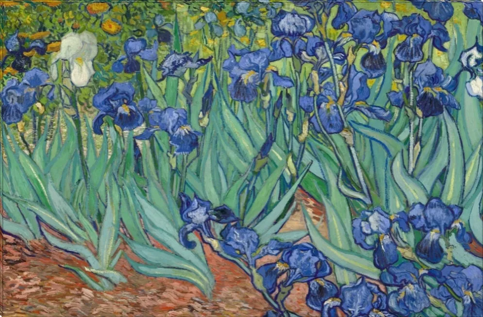 Irises in Blue | Vincent Van Gogh Masters Classic Art in Gallery Wrapped Canvas | Various Sizes