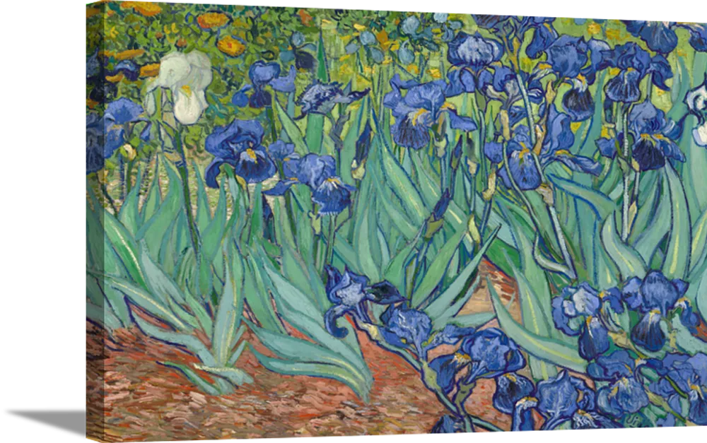 Irises in Blue | Vincent Van Gogh Masters Classic Art in Gallery Wrapped Canvas | Various Sizes