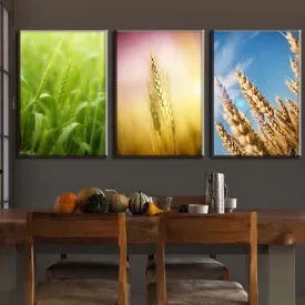 Modern Wheat Set