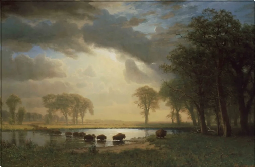 The Buffalo Trail | Albert Bierstadt Masters Classic Art in Gallery Wrapped Canvas | Various Sizes