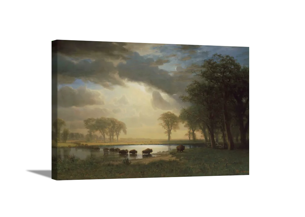 The Buffalo Trail | Albert Bierstadt Masters Classic Art in Gallery Wrapped Canvas | Various Sizes